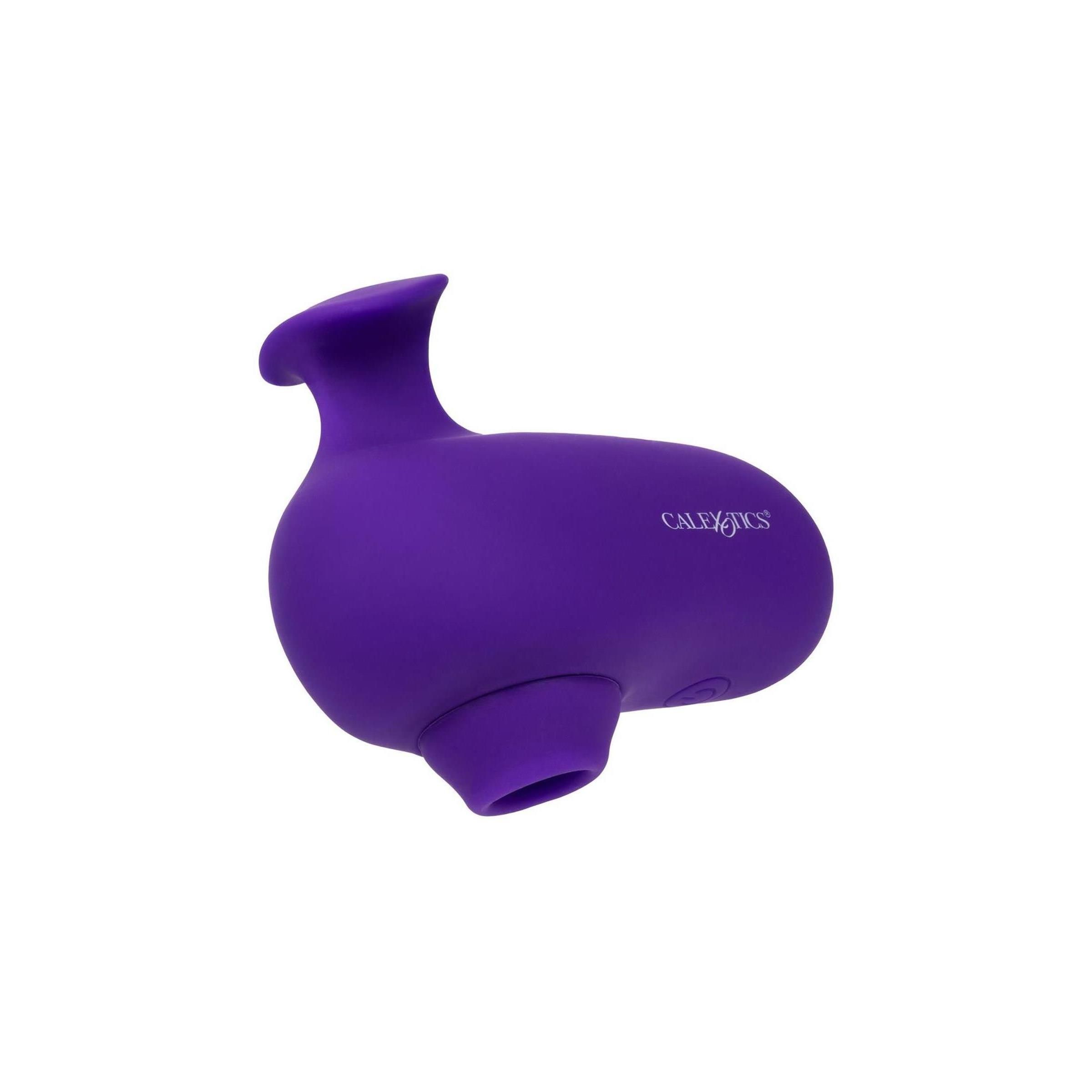 CalExotics - The Kissing Vibe
