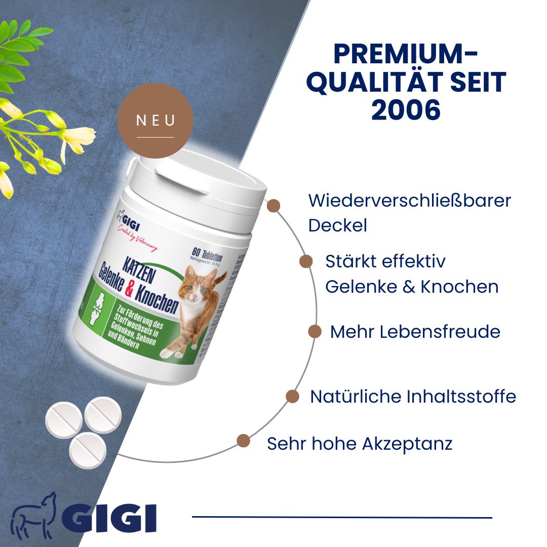 GIGI VET Katzen Gelenke & Knochen Tabletten, Dose und Tabletten. Text: Premium-Qualität seit 2006. Wiederverschließbarer Deckel.