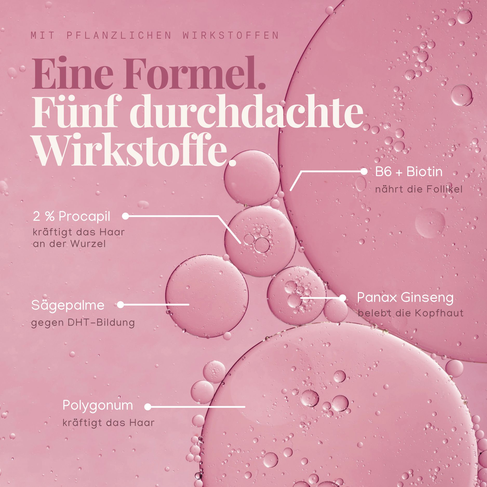 Eine Formel mit fünf Wirkstoffen: 2% Procapil, Sägepalme, Polygonum, B6 + Biotin und Panax Ginseng. Rosa Bläschen und Flüssigkeit.