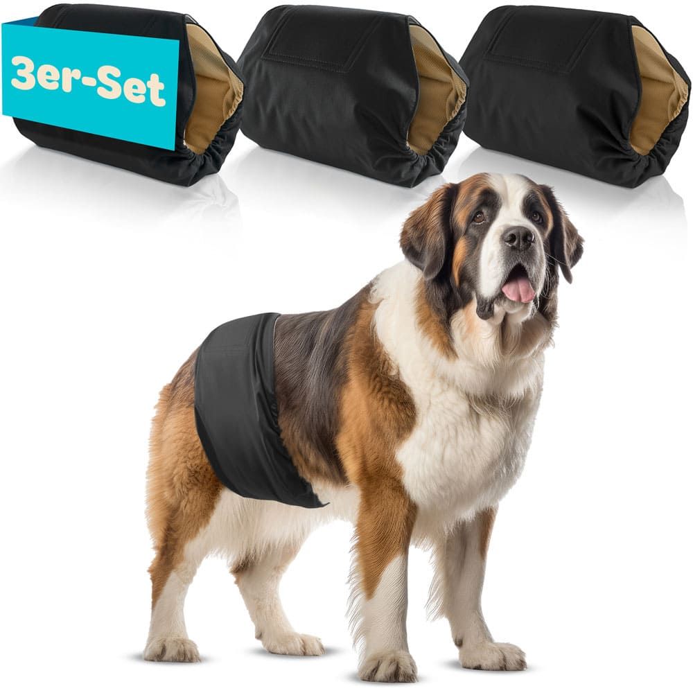 Drei schwarze Hundewindeln. Ein Hund trägt eine Windel. Text: 3er-Set.