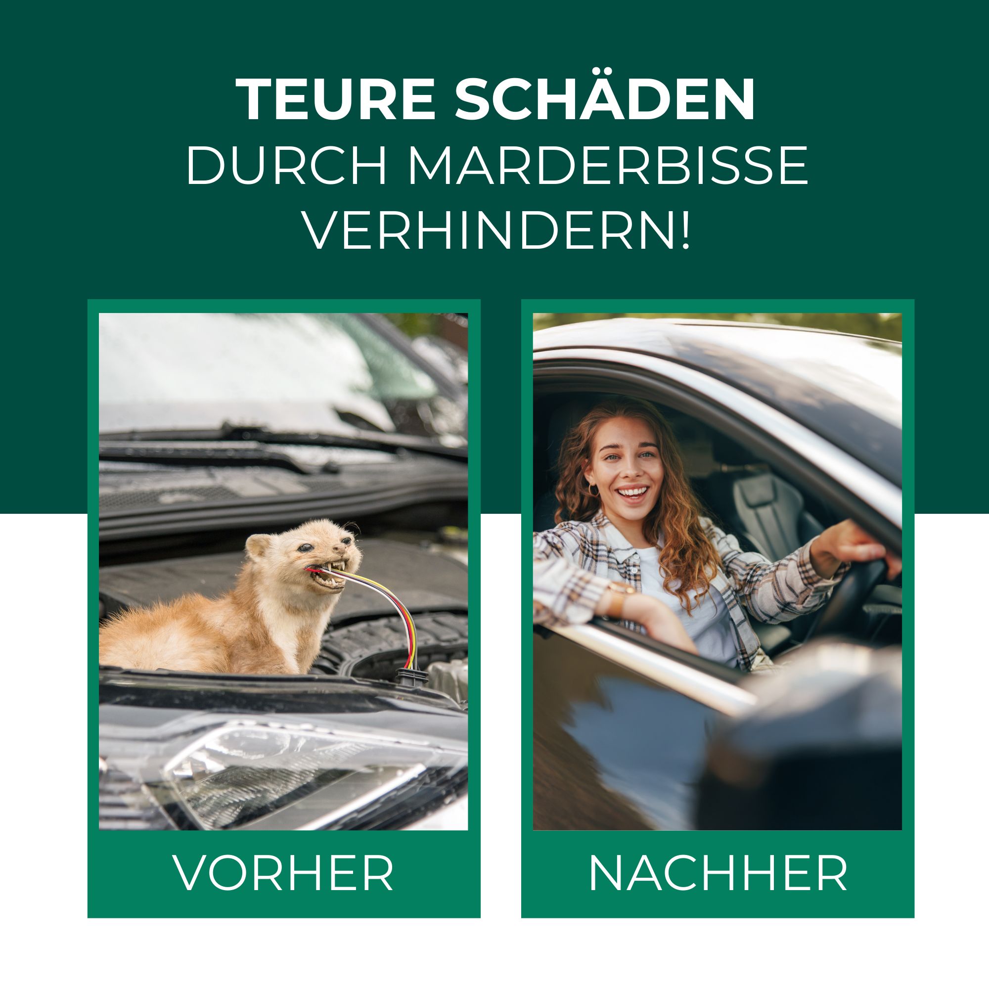 Vergleichsbild: Marder im Motorraum, Kabel beschädigt. Zweites Bild: Frau im Auto, lächelnd. Text: Teure Schäden durch Marderbisse verhindern!