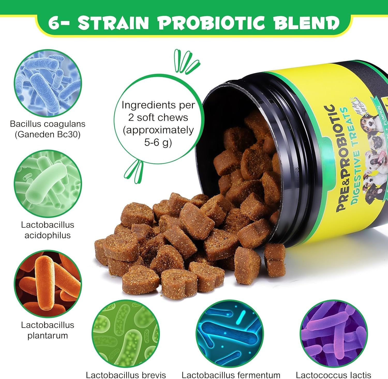 Behälter mit braunen, quadratischen Leckerlis. Aufschrift: Pre & Probiotic Digestive Treats. Verschiedene Bakterienarten abgebildet.