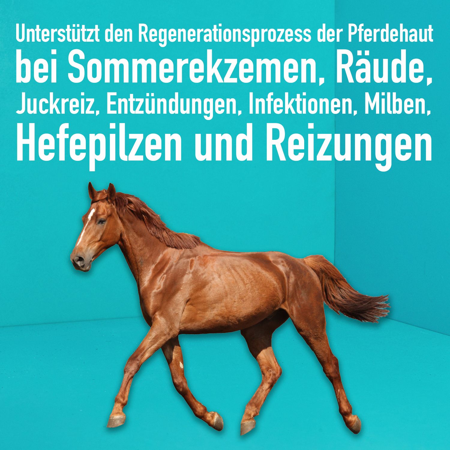GreenHero Pferdepflege unterstützt den Regenerationsprozess der Haut