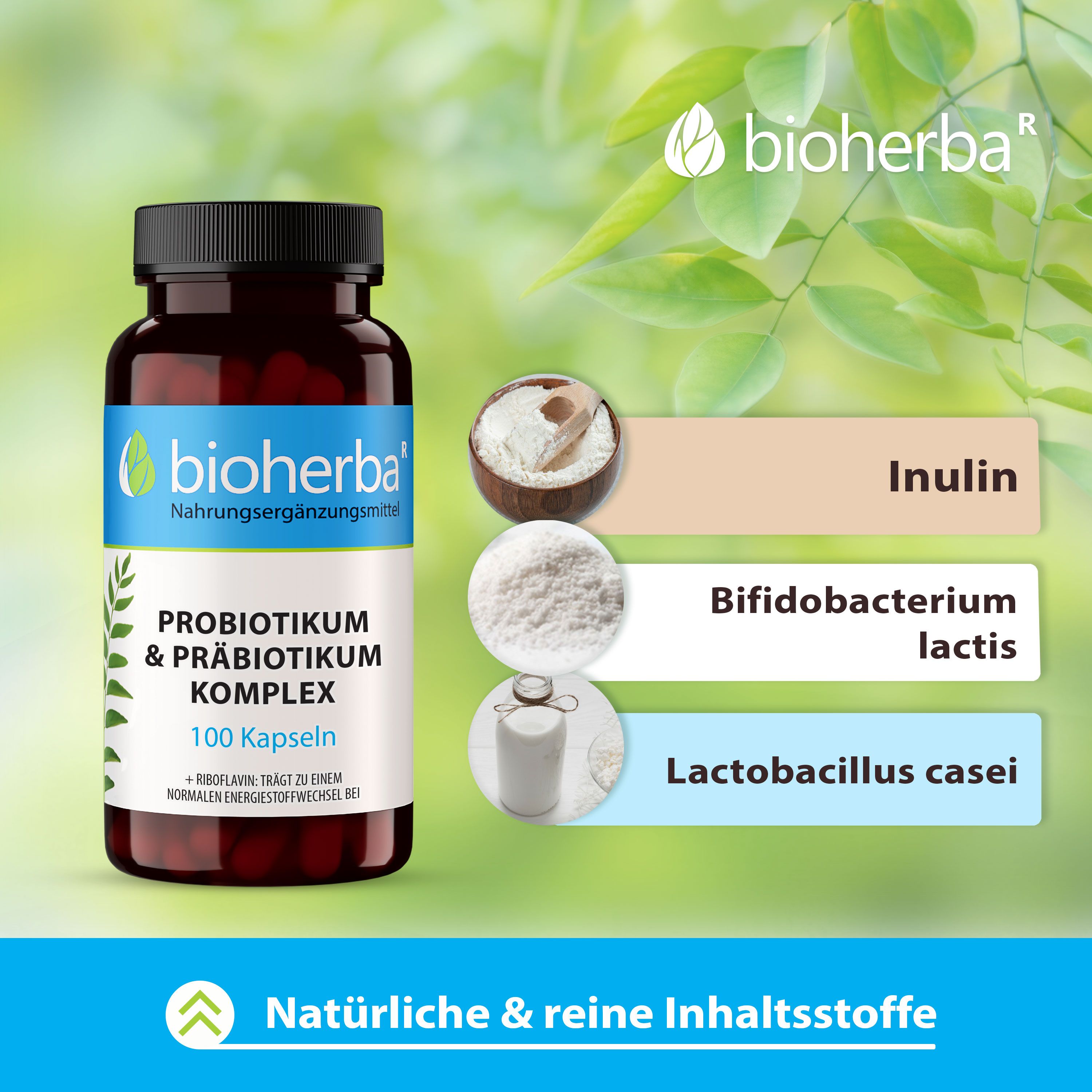 Bioherba Probiotikum & Präbiotikum Komplex Kapseln
