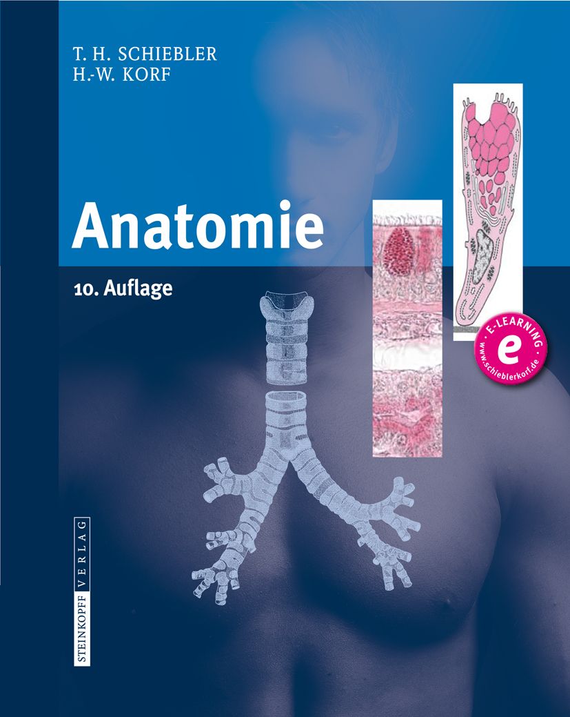 Buchcover mit Titel „Anatomie“. Illustrationen von Organen und Geweben. Autoren: T.H. Schiebler, H.-W. Korf. Verlag: Steinkopff.