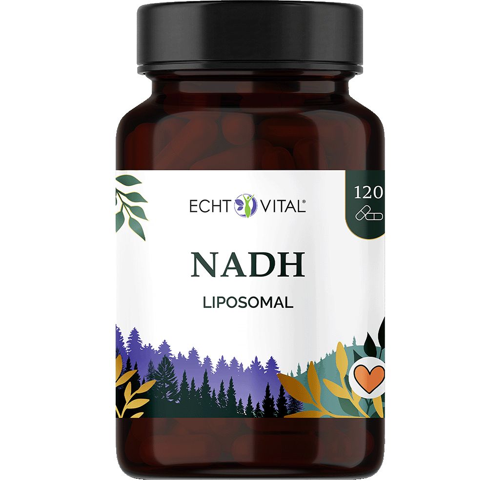 Braune Flasche mit Echt Vital NADH Liposomal Etikett, 120 Kapseln.