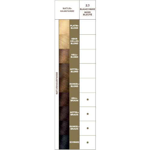 Farbkarte mit Haarfarben. Von Naturhaarfarbe bis Schwarz. 2.1 Blauschwarz. Beschriftung: Naturhaarfarbe, 2.1 Blauschwarz, Noir Bleuté.