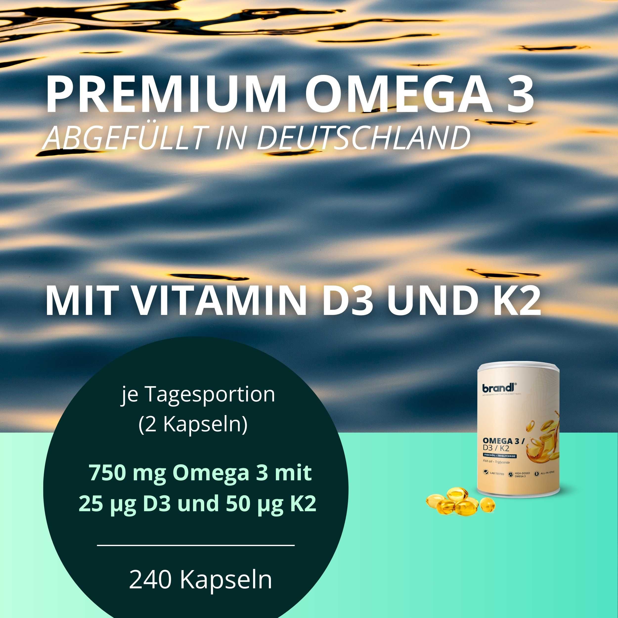 brandl® Omega 3 D3 K2 Kapseln aus Fischöl | EPA DHA im 2:1 Verhältnis 240 St