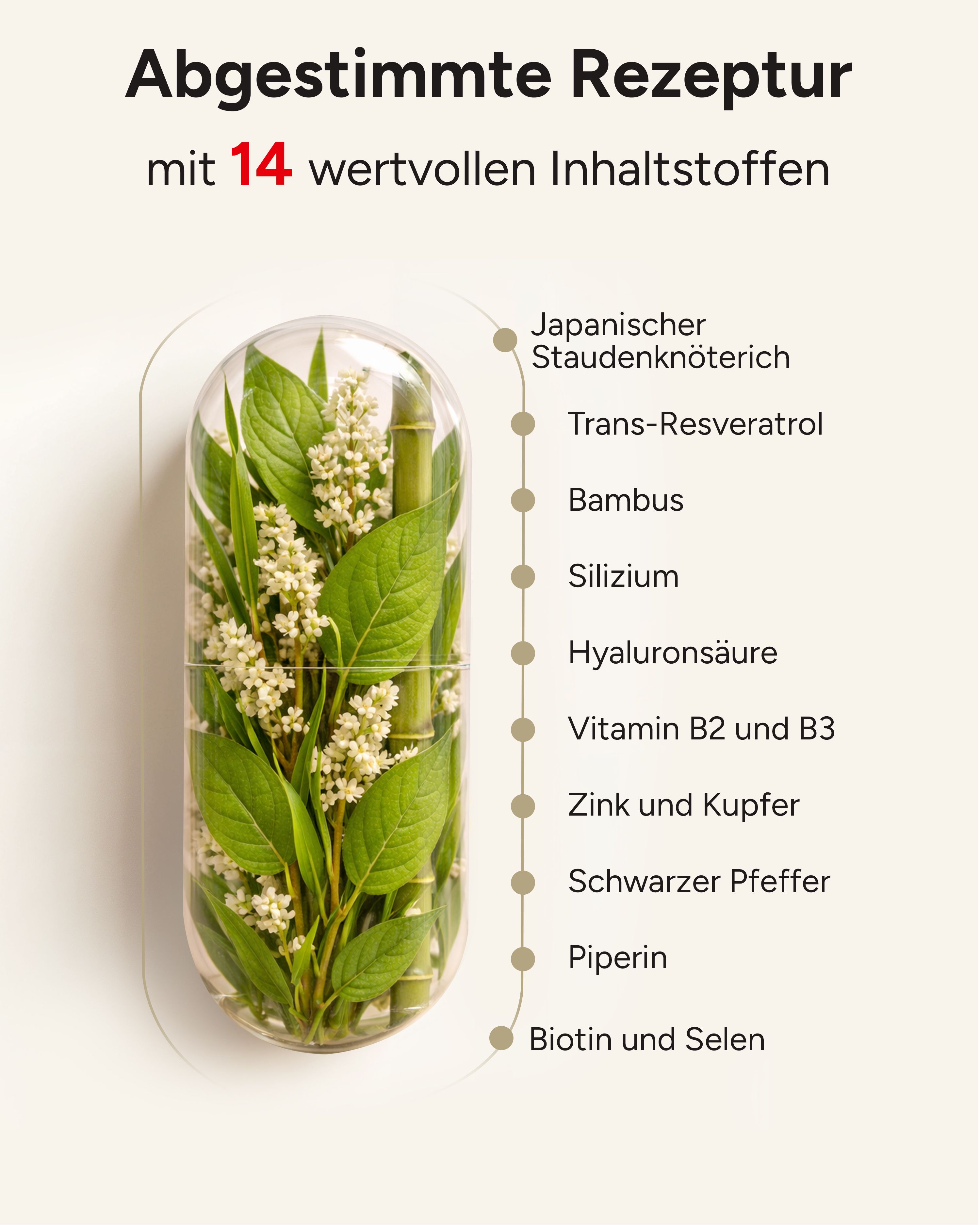 plantomol® Resveratrol - 750mg Trans-Resveratrol Hyaluron Silizium - Haut Haare Nägel Kapseln