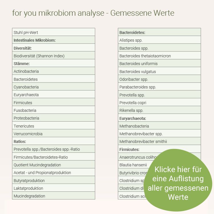 Übersicht der gemessenen Werte einer Mikrobiomanalyse, aufgeteilt nach Bakterien, Stämmen und Verhältnissen.