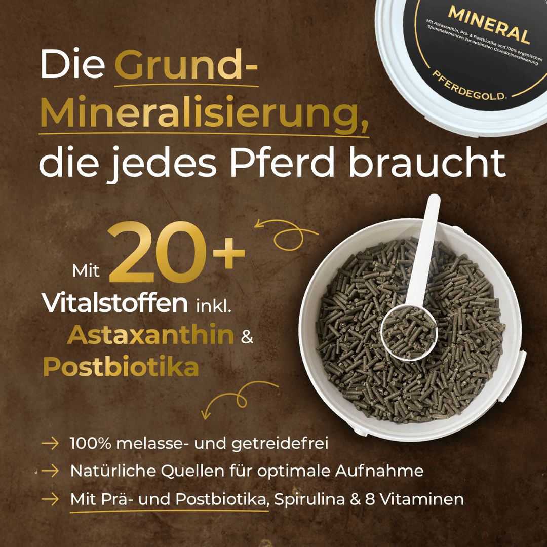 Pferdegold Mineral