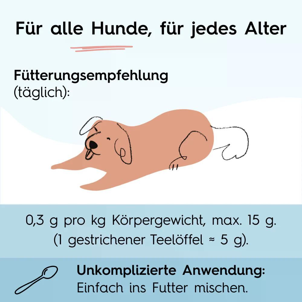 Illustration eines Hundes mit Text: Für alle Hunde, für jedes Alter. Fütterungsempfehlung. Unkomplizierte Anwendung.