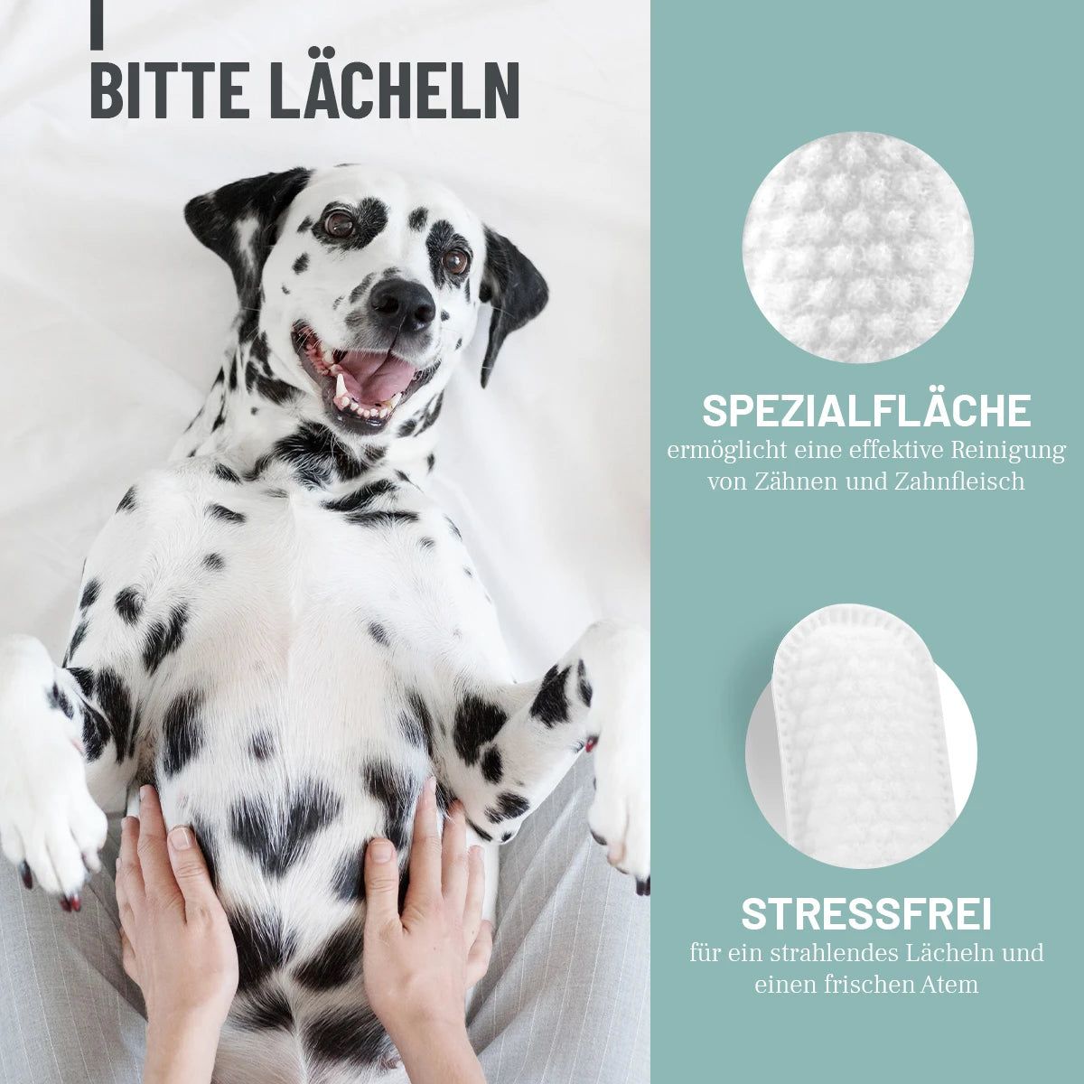 Dalmatiner liegt. Text: Spezialfläche ermöglicht effektive Reinigung von Zähnen und Zahnfleisch. Stressfrei für strahlendes Lächeln.