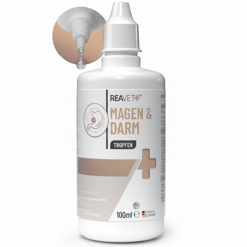 Weiße Tropfflasche mit Etikett für Magen & Darm Tropfen, 100ml.