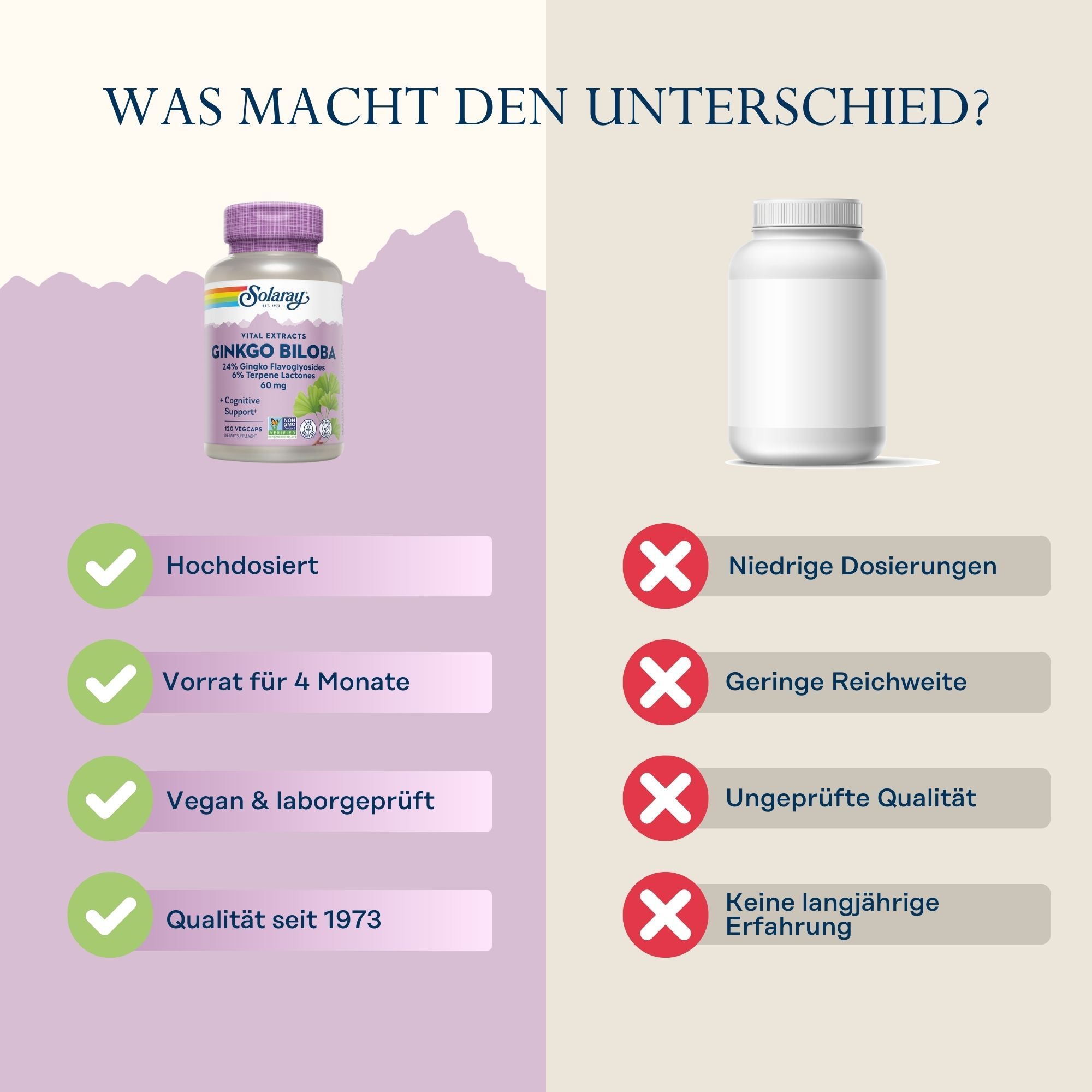 Solaray Ginkgo-Biloba Extrakt 60 mg 24%