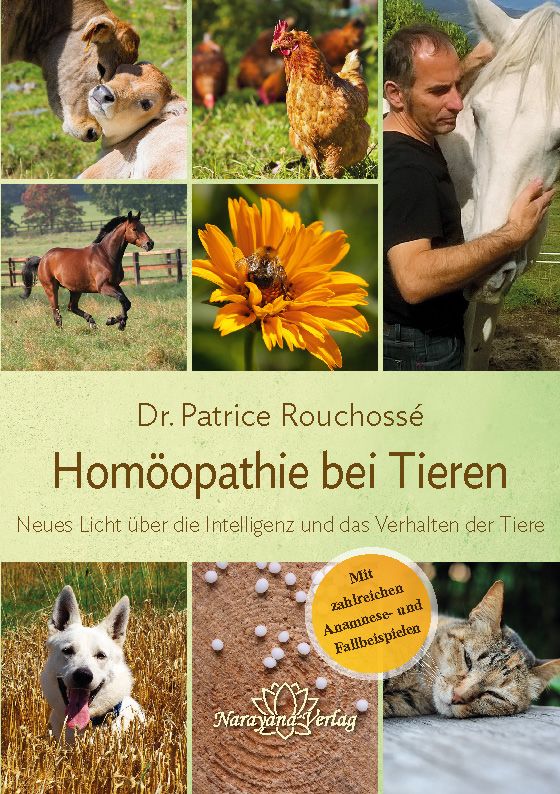 Homöopathie bei Tieren