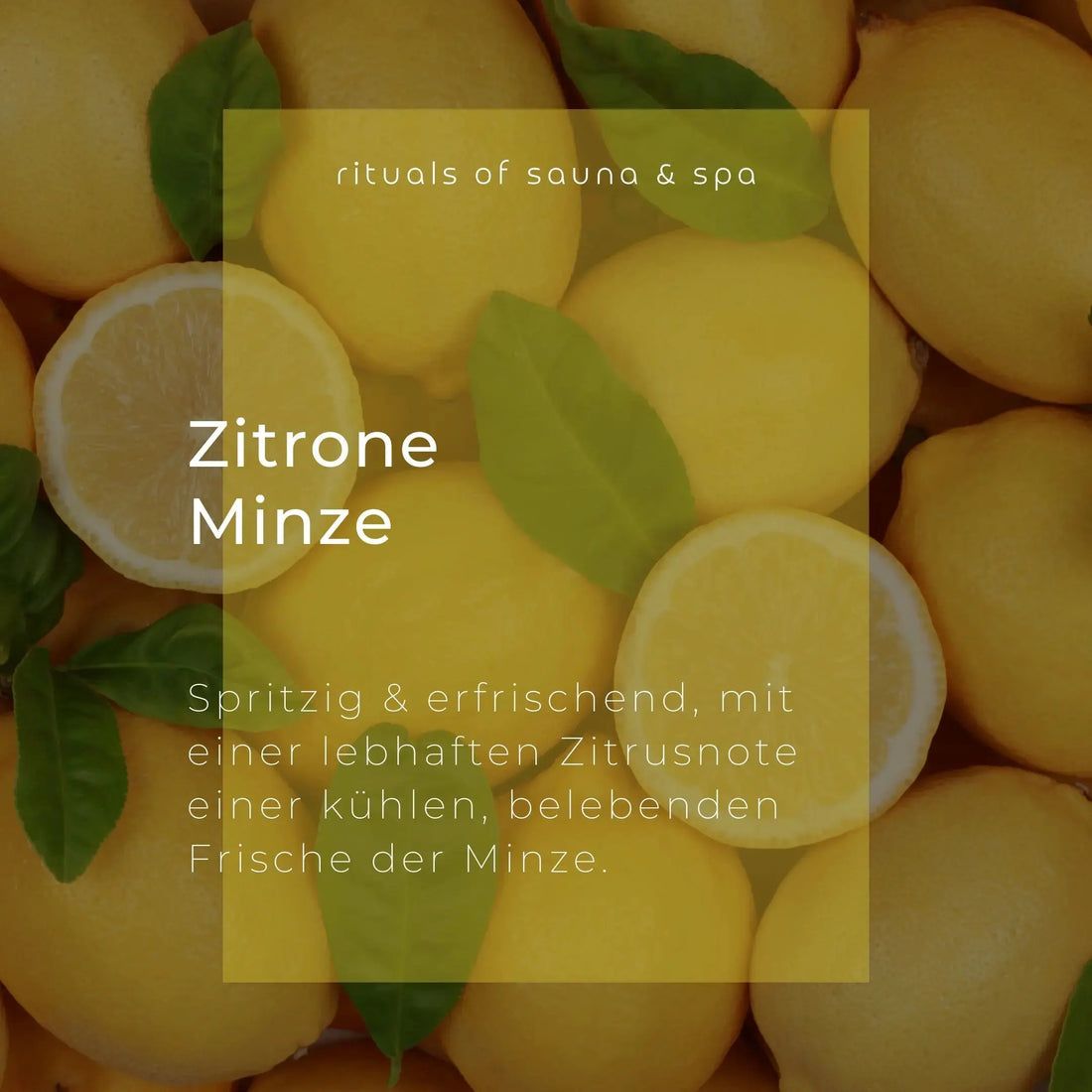 Text auf gelbem Hintergrund mit Zitronen und Blättern. Schriftzug: Zitrone Minze. Text beschreibt erfrischenden Duft.