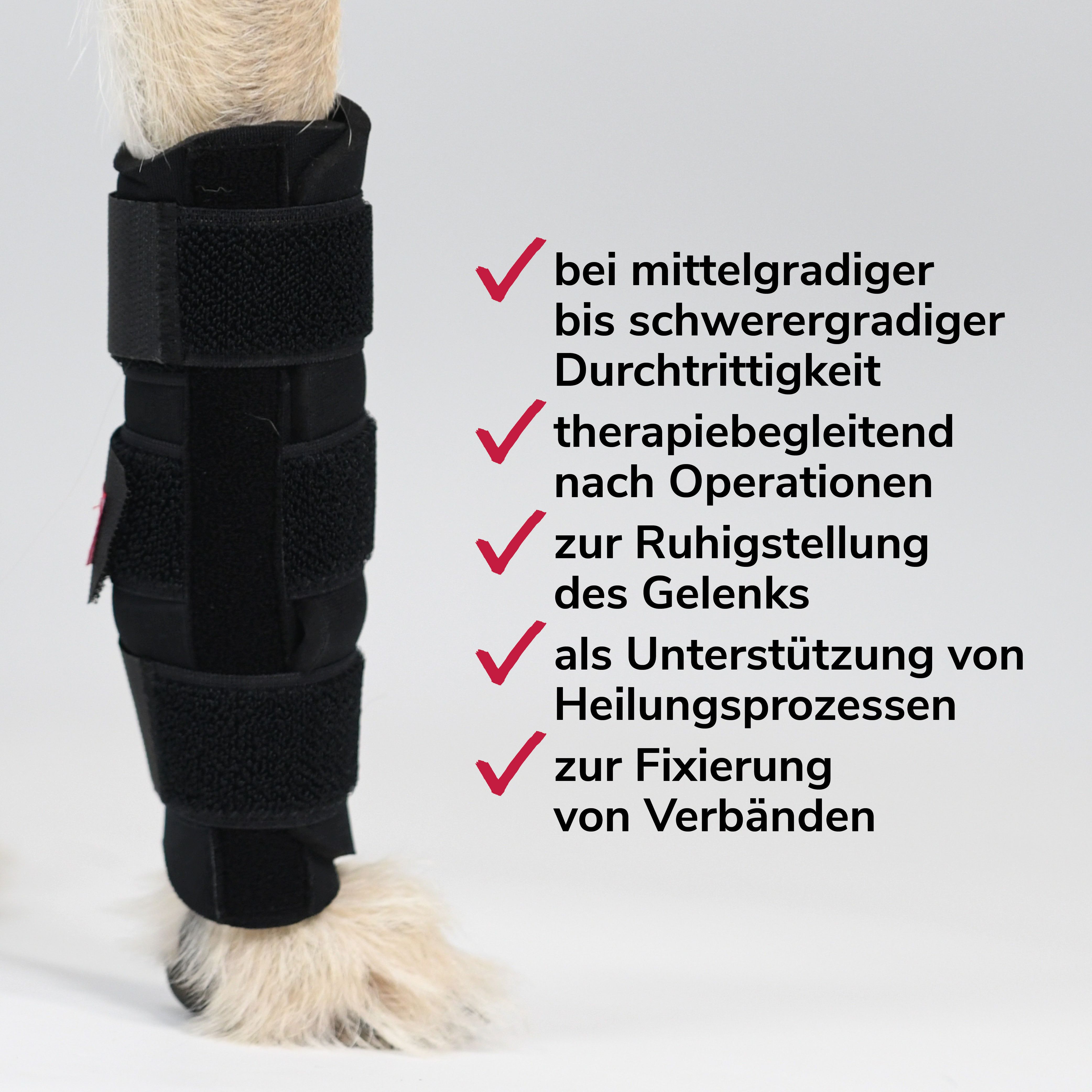Schwarze Karpalgelenkbandage am Bein eines Hundes. Text: bei mittelgradiger bis schwerer Durchtrittigkeit, nach Operationen, etc.