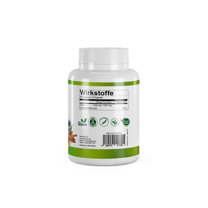 VitaSanum® - Inulin 100 St Kapseln