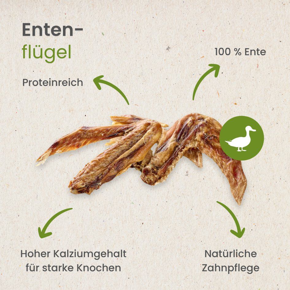 Ein Hund frisst getrocknete Entenflügel von einer Holzscheibe.