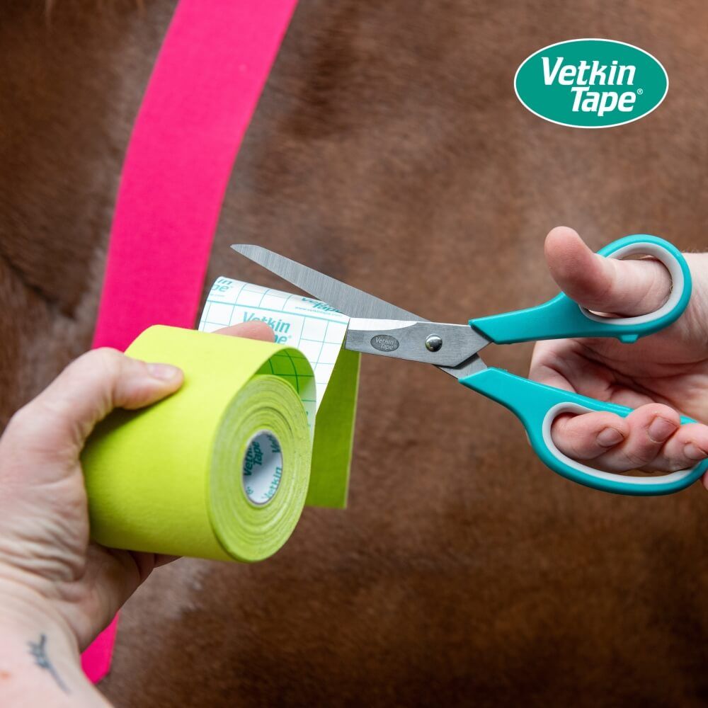 Hände schneiden neongrünes VetkinTape mit einer Schere auf dem Fell eines Pferdes.