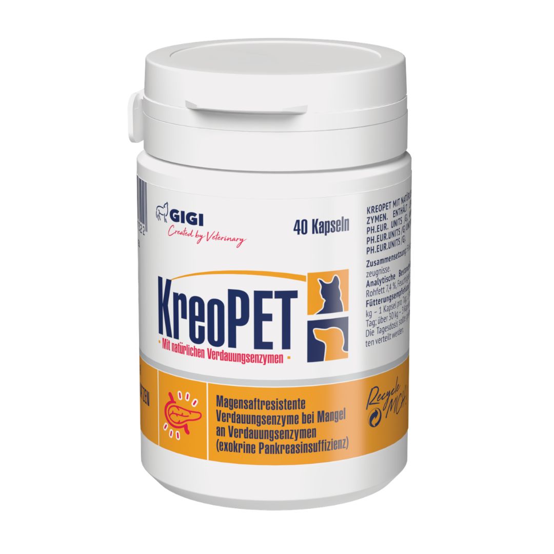 Gigi VET Kreopet Pankreatin Bei Verdauungsstörungen | Entwickelt in Deutschland 40 St Kapseln