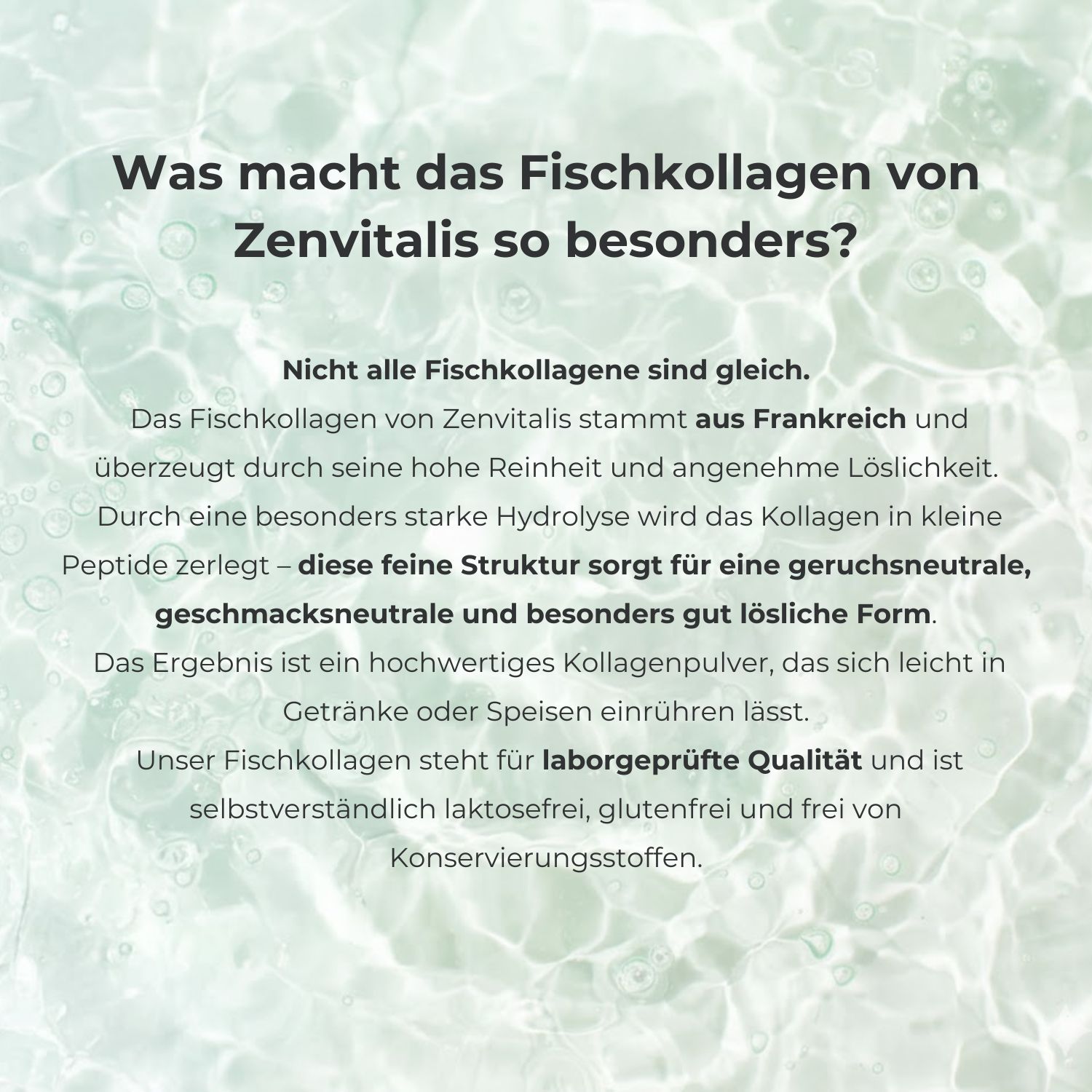Text auf grünem Hintergrund. Text: Was macht das Fischkollagen von Zenvitalis so besonders?