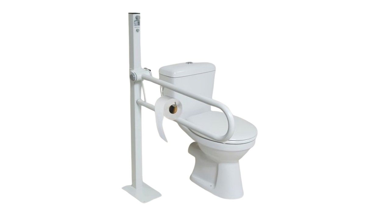 Weißer, klappbarer Haltegriff mit integriertem Toilettenpapierhalter neben einer Toilette. Montiert an einer vertikalen Stütze.