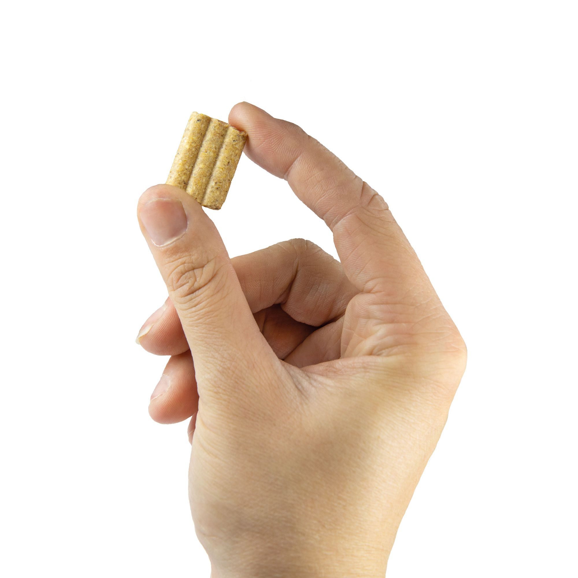 Hand hält drei rechteckige, geriffelte Hundekekse. Beige Farbe, weißer Hintergrund.