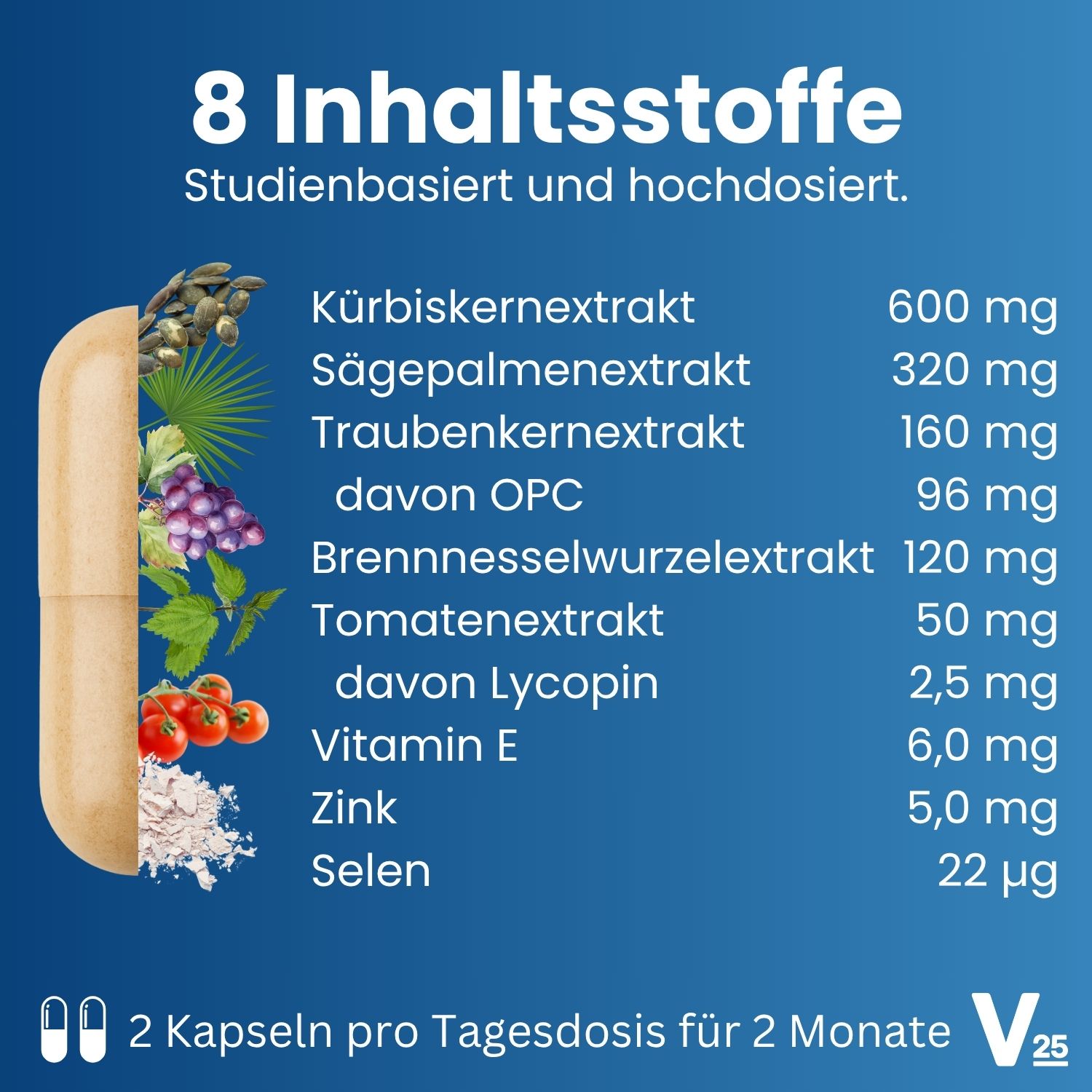 Tabelle mit 8 Inhaltsstoffen von Vital25® Prosta Komplex Kapseln. Enthält Kürbiskernextrakt, Sägepalmenfruchtextrakt, Traubenkernextrakt, etc.