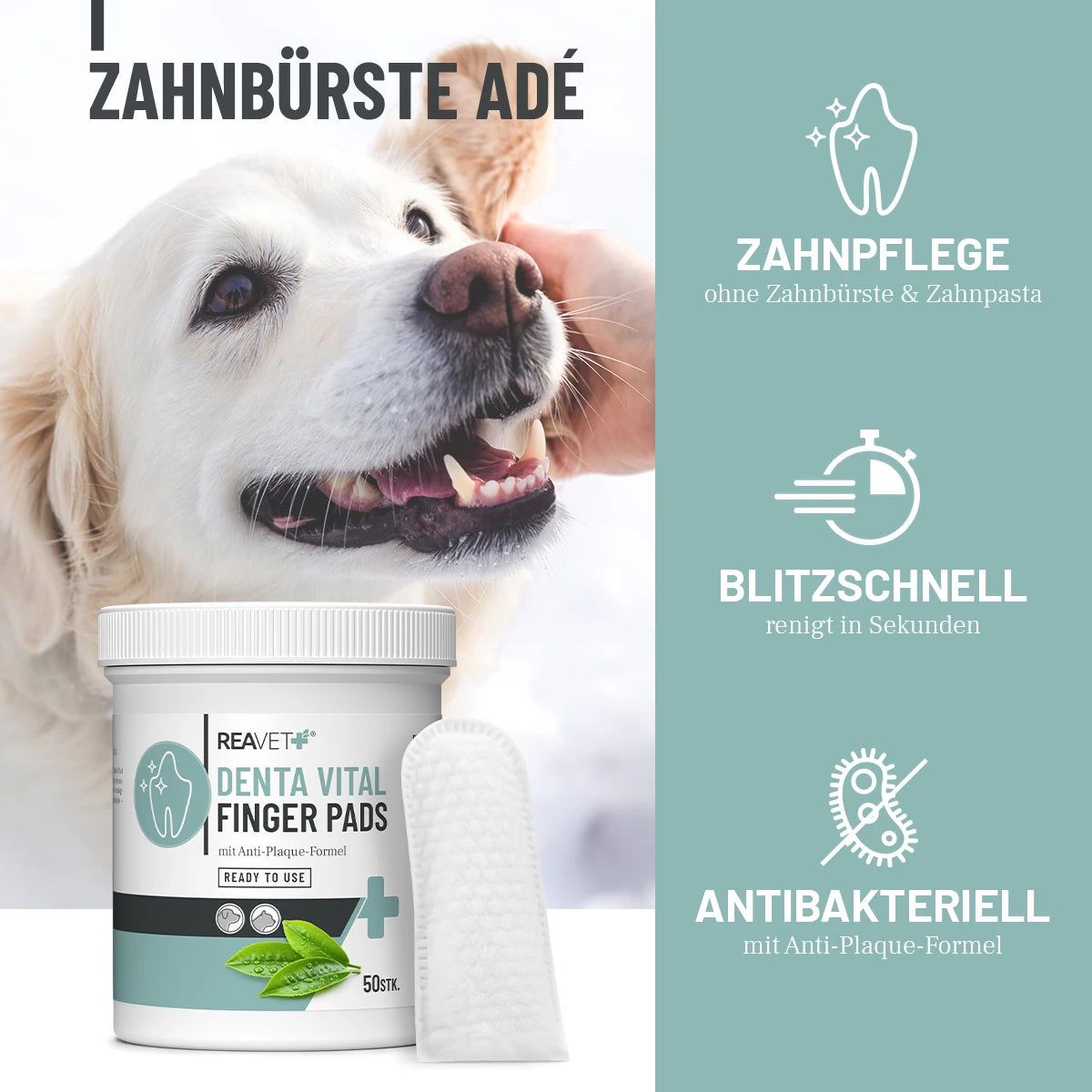 Produkt und Hund. ReaVET Denta Vital Finger Pads und ein Fingerpad. Text: Zahnreinigung ohne Zahnbürste & Zahnpasta, antibakteriell.