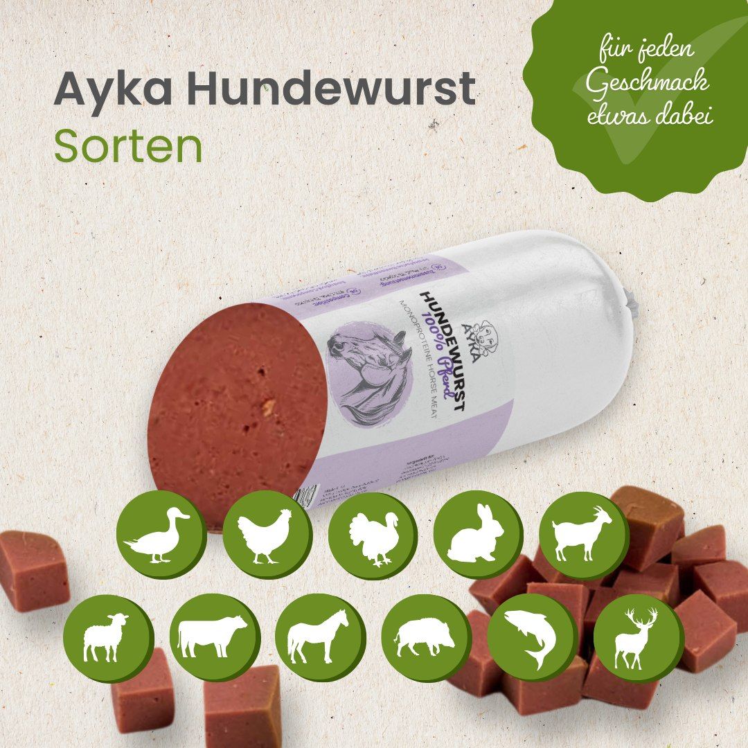 Ayka Hundewurst Sorten: Verschiedene Proteinquellen als Icons dargestellt, daneben gewürfelte Wurst.