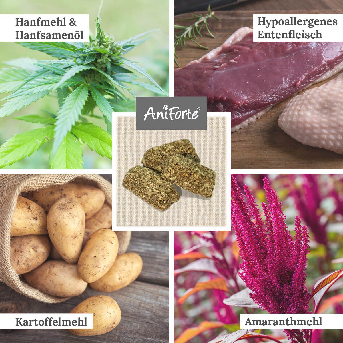 AniForte Hanfkekse