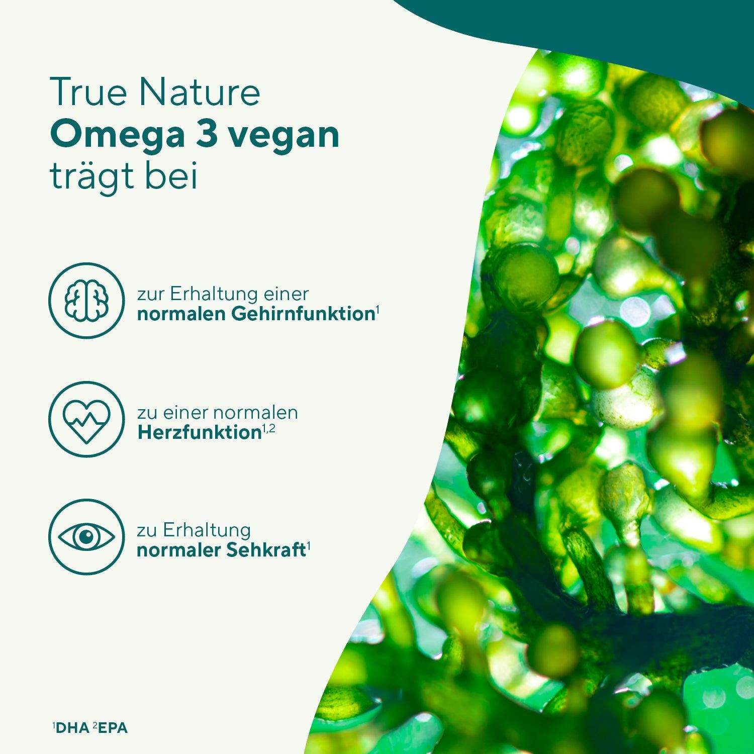 Text: True Nature Omega 3 vegan trägt bei: zur Erhaltung normaler Gehirn-, Herz- und Sehkraft. Abbildung von Algen.