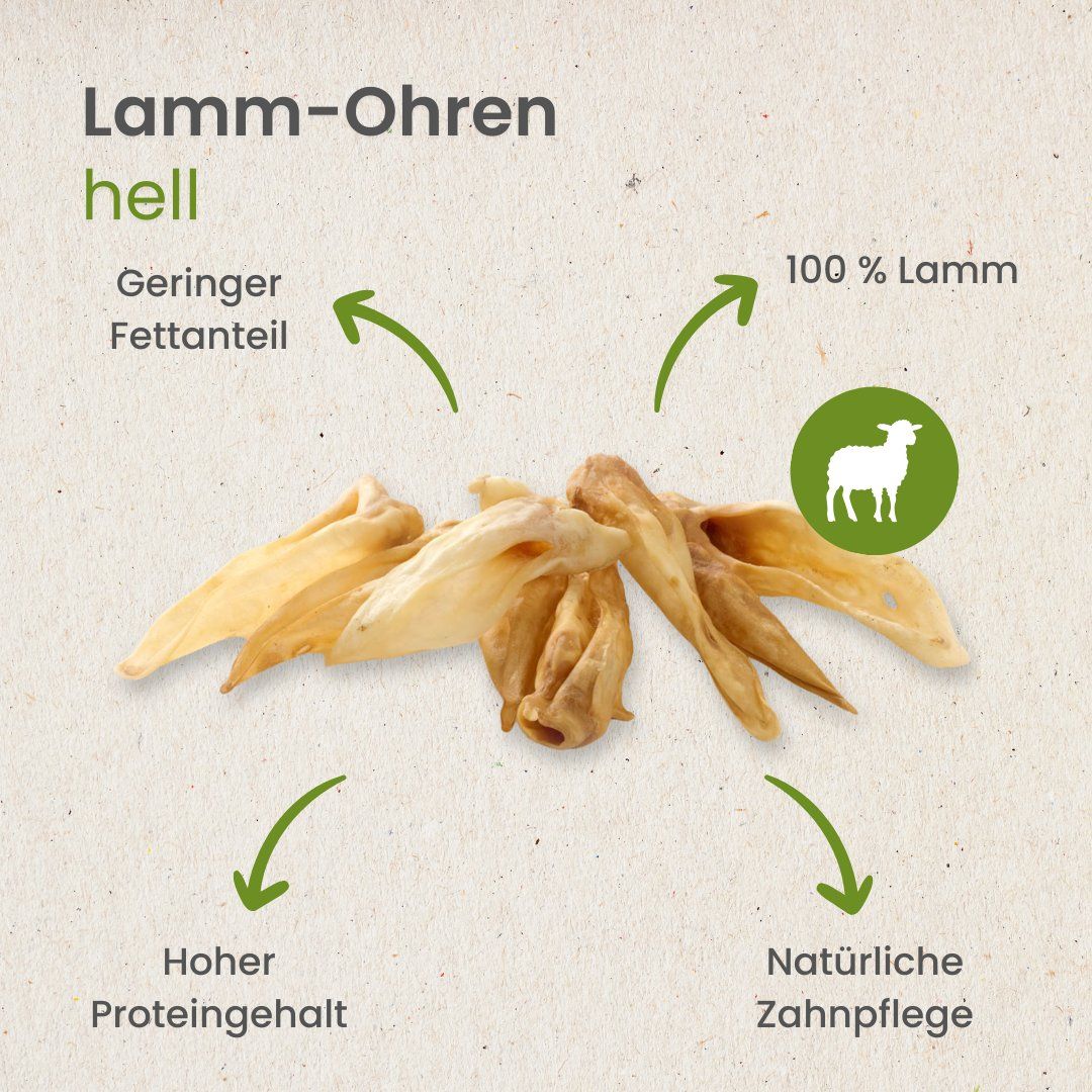 Ein großer Hund kaut auf einem Lamm-Ohr auf einem Baumstumpf.