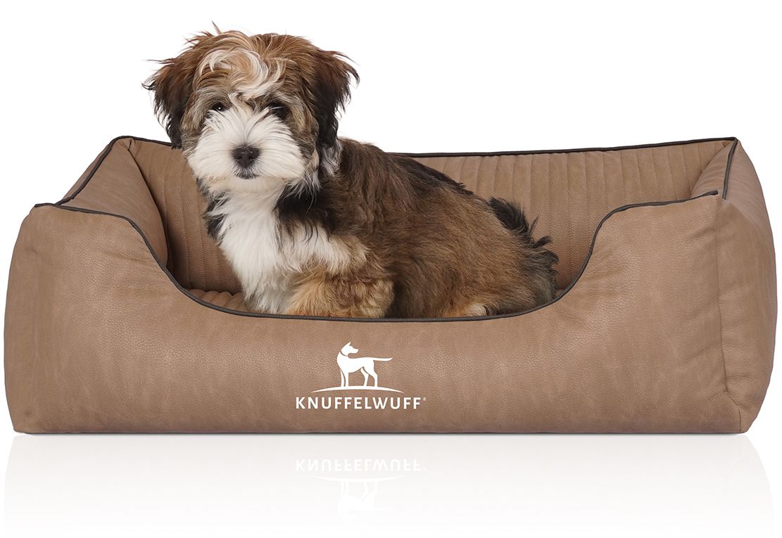 Hund im orthopädischen Hundebett Tampa. Braunes Bett mit erhöhtem Rand. Knuffelwuff Logo. Kleiner Hund sitzt im Bett.