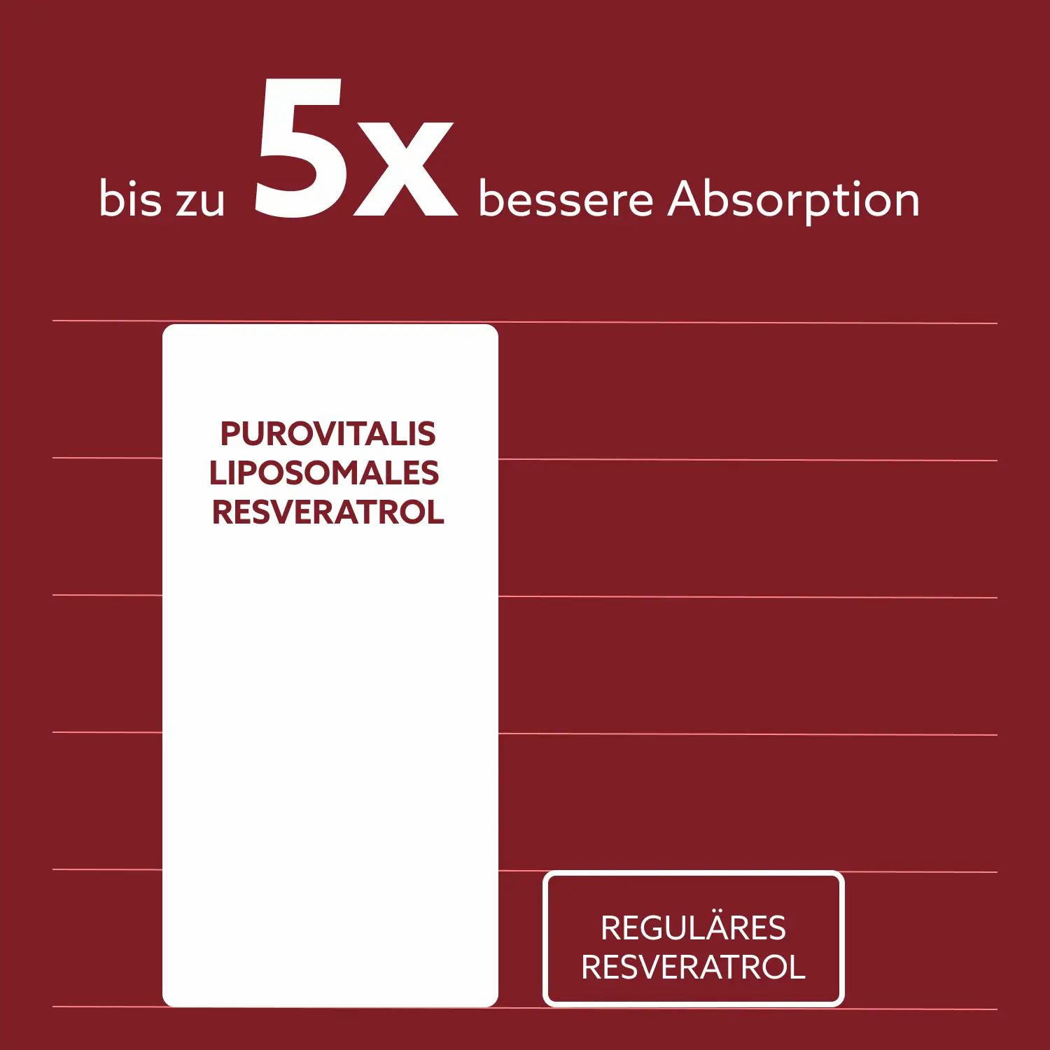 Grafik mit Vergleich: Purovitalis Liposomales Resveratrol vs. reguläres Resveratrol. 5x bessere Absorption.