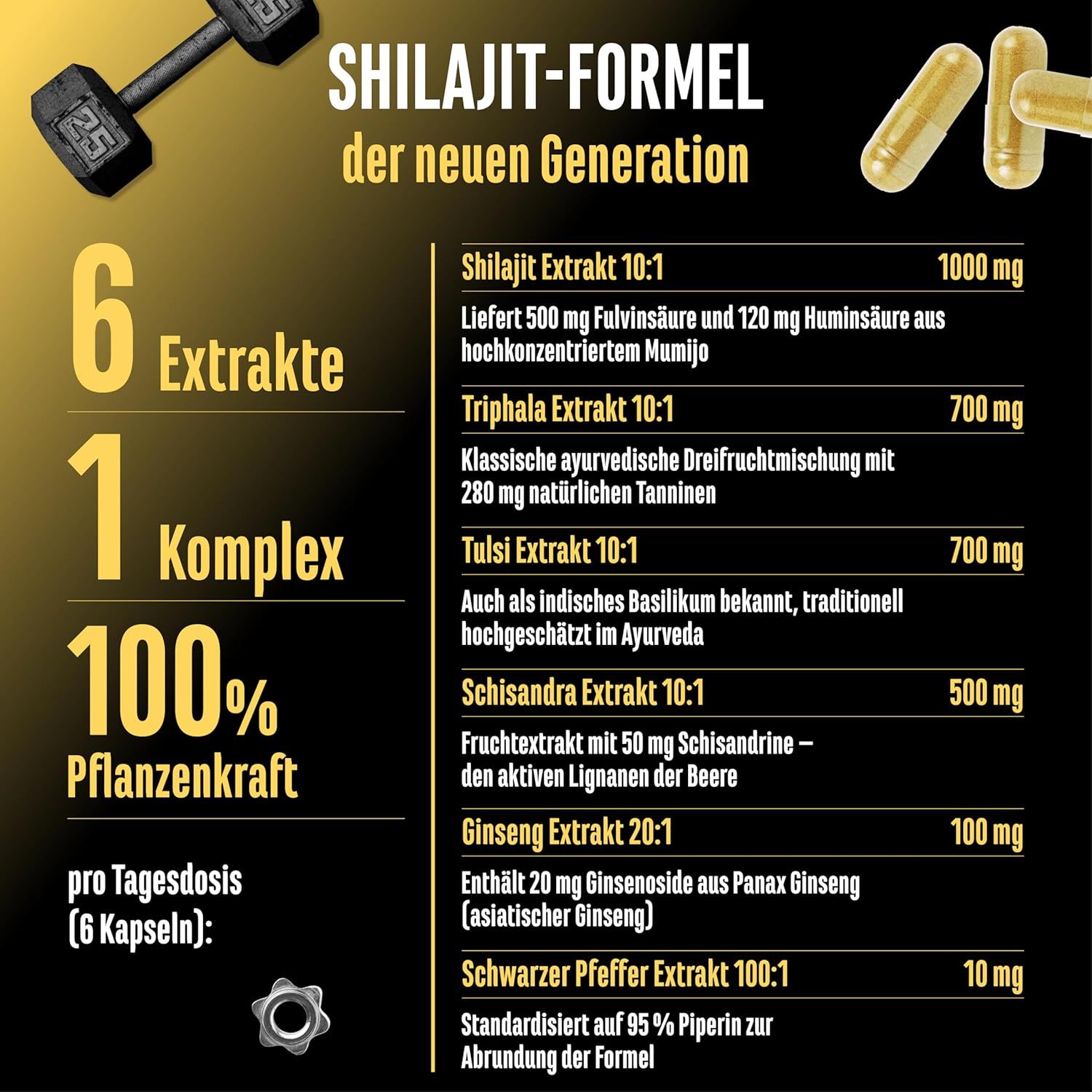 GEN Shilajit Complex