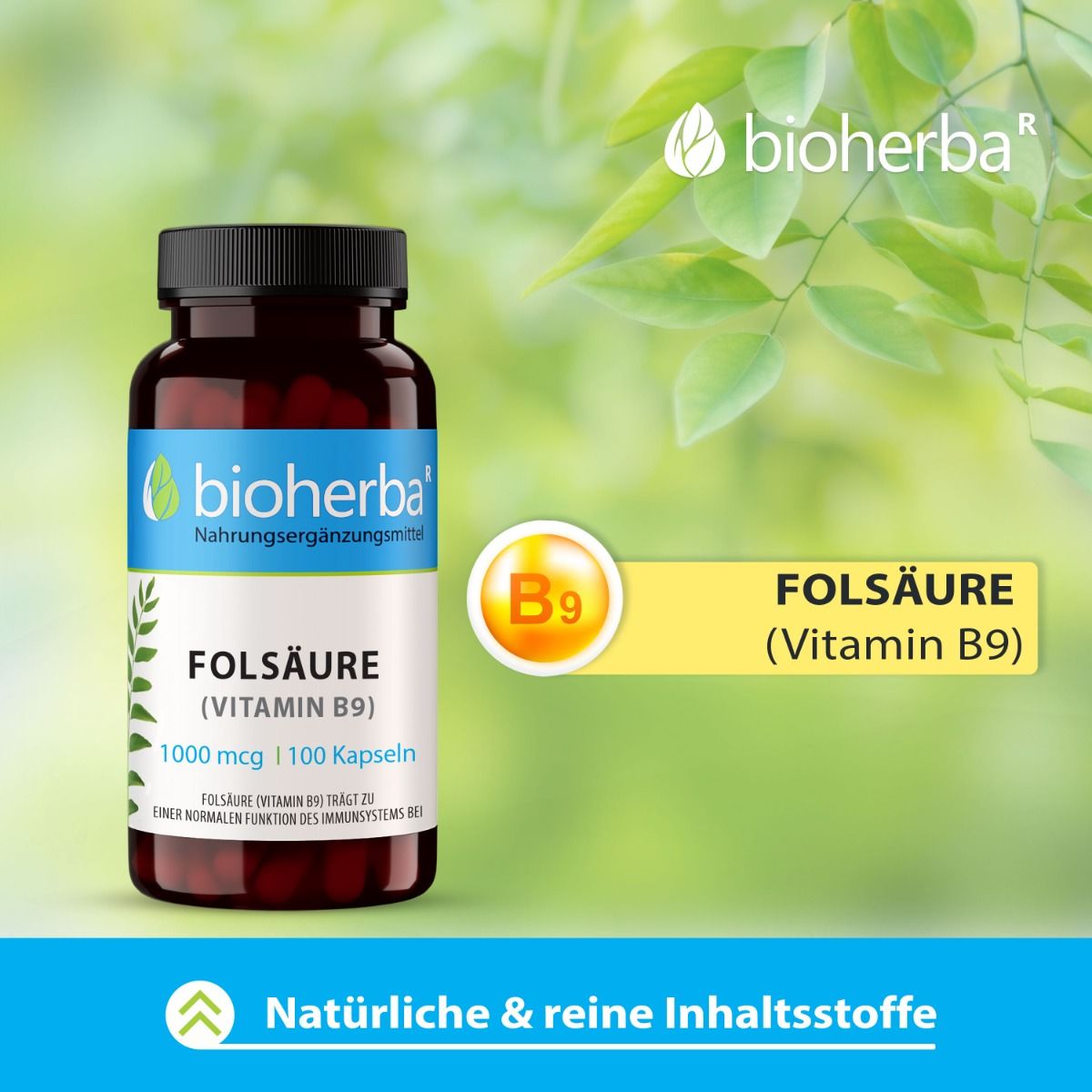 Braune Flasche mit schwarzen Deckel. Aufschrift: Folsäure (Vitamin B9) 1000 mcg | 100 Kapseln. Marke: bioherba. Gelbes Feld mit B9.