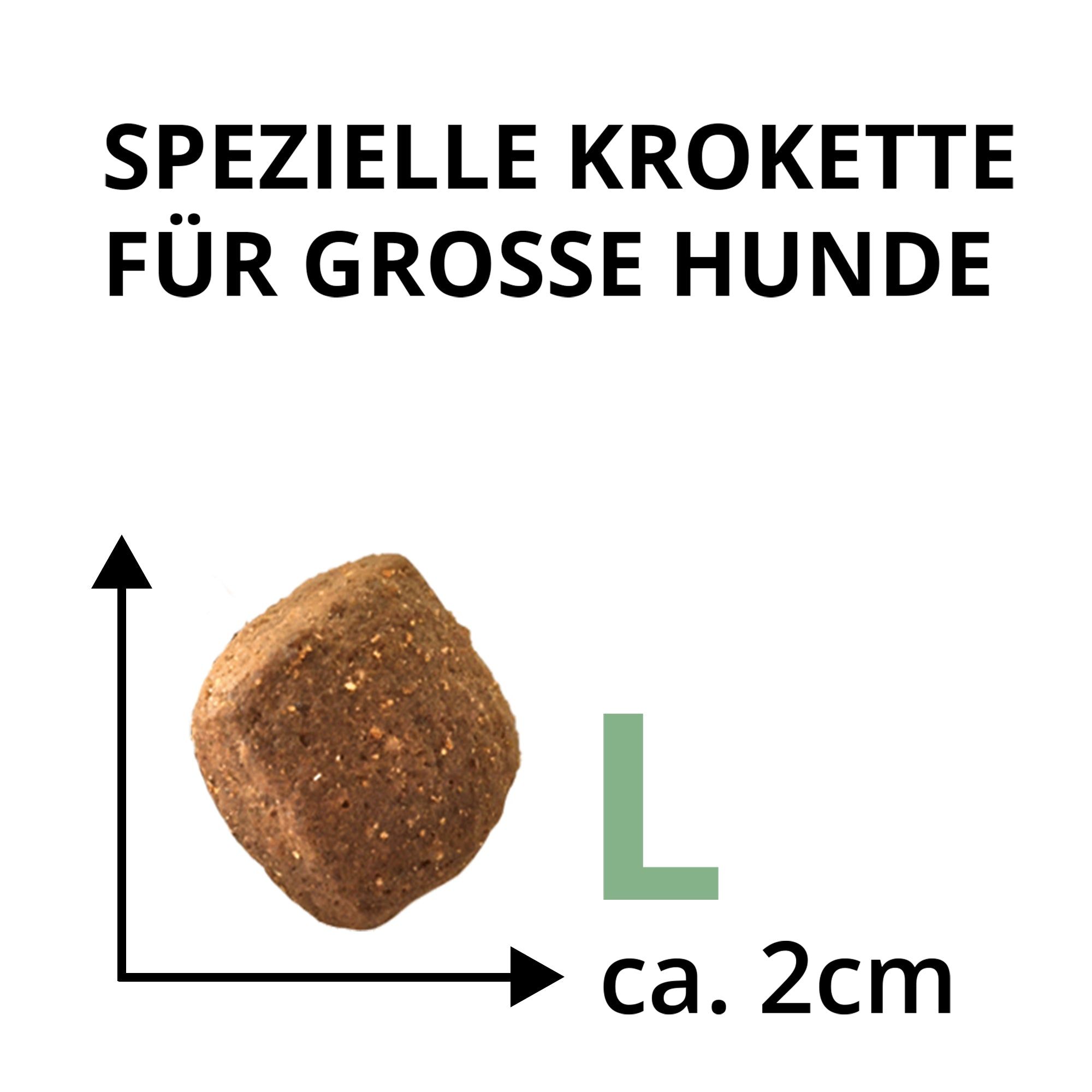 Spezielle Kroketten für große Hunde, ca. 2 cm groß.