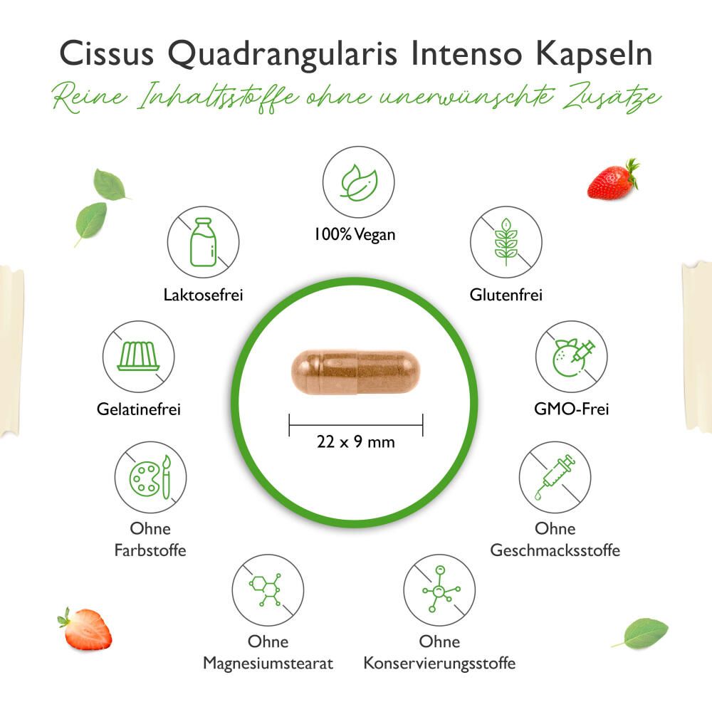 vit4ever Cissus Quadrangularis Intenso 180 St Kapseln