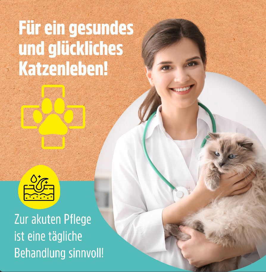 Tierärztin hält Katze. Text: Für ein gesundes und glückliches Katzenleben! Zur akuten Pflege ist eine tägliche Behandlung sinnvoll!