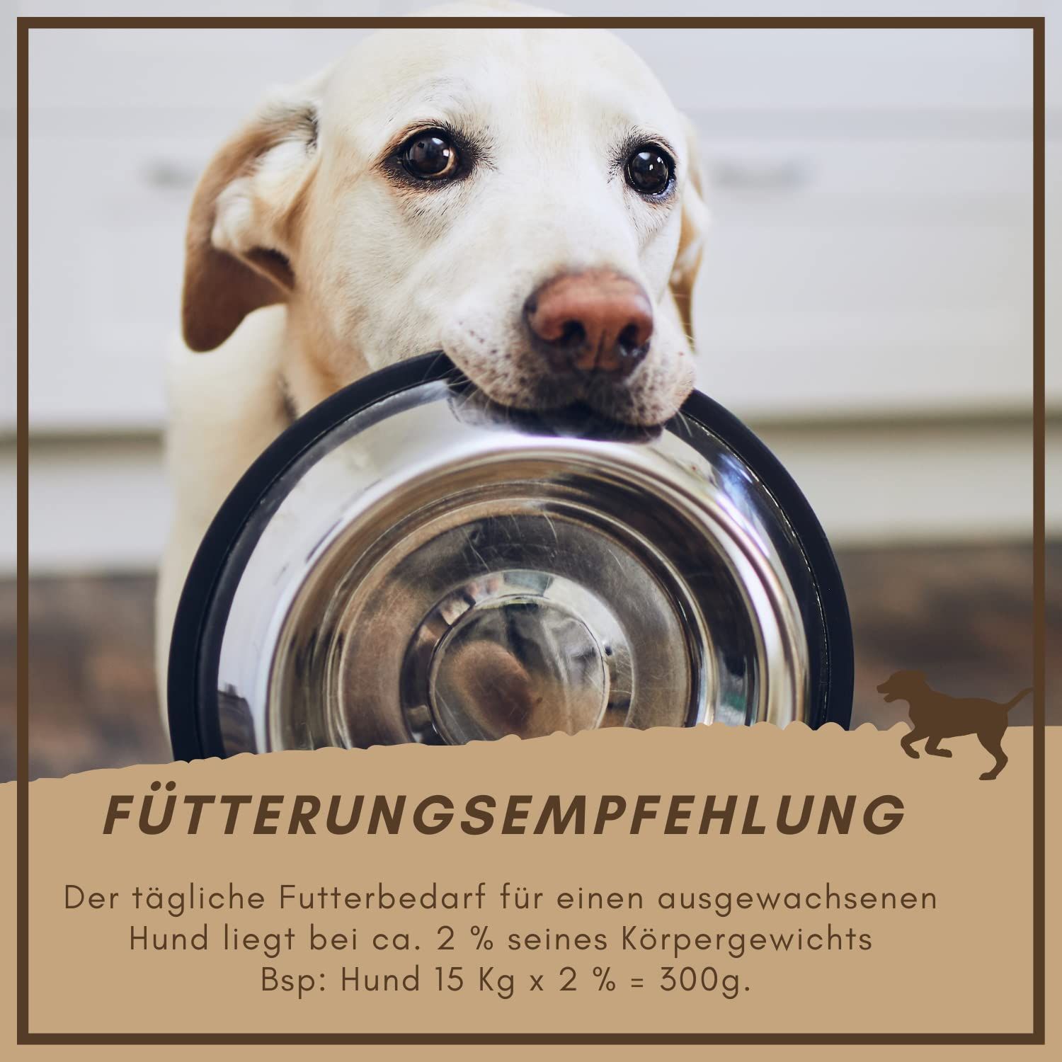 Hund hält silberne Schüssel. Text: Fütterungsempfehlung. Berechnung des täglichen Futterbedarfs. Hund-Silhouette.