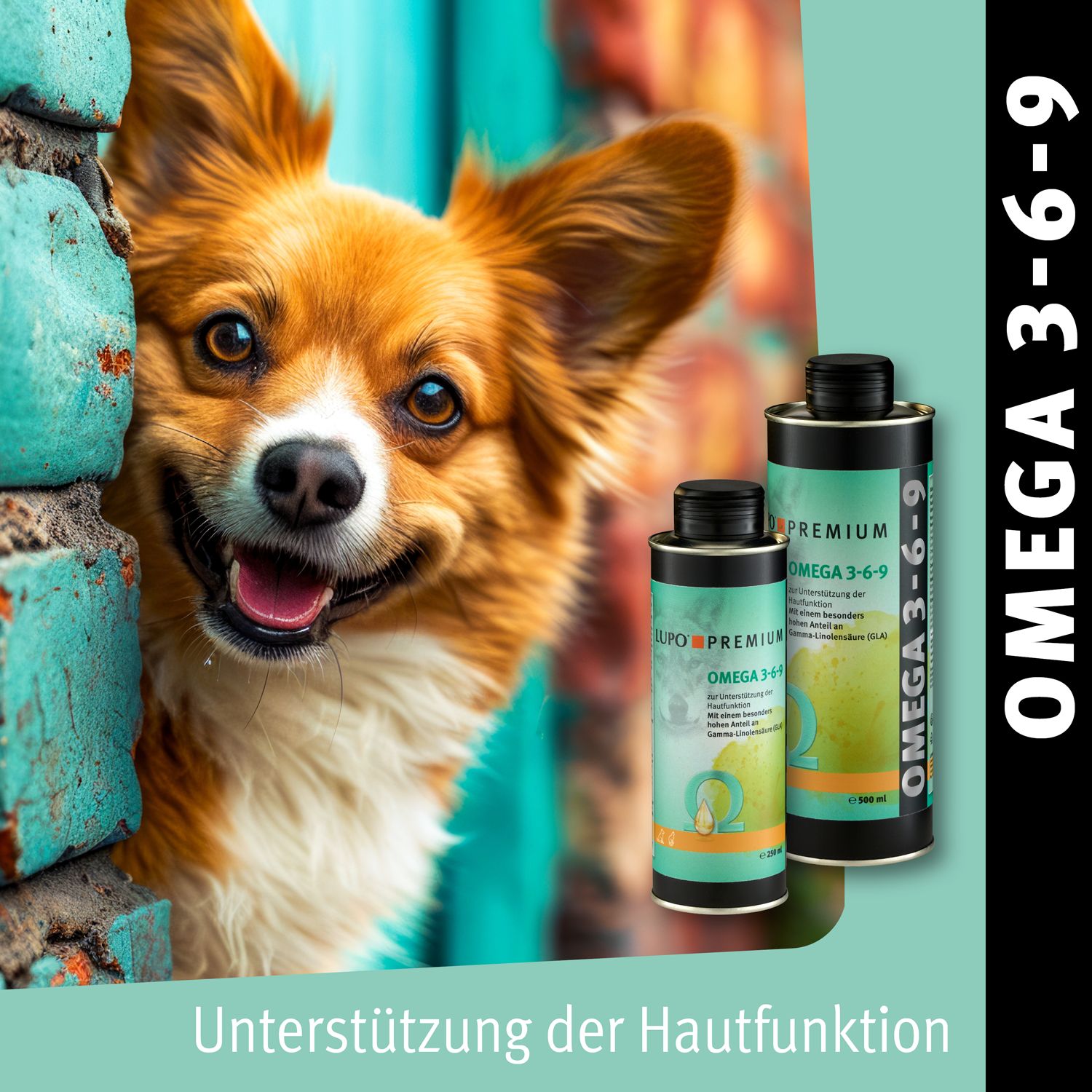 Foto: Hund schaut hinter Mauer hervor. Zwei Dosen LUPO PREMIUM Omega 3-6-9. Text: Unterstützung der Hautfunktion.