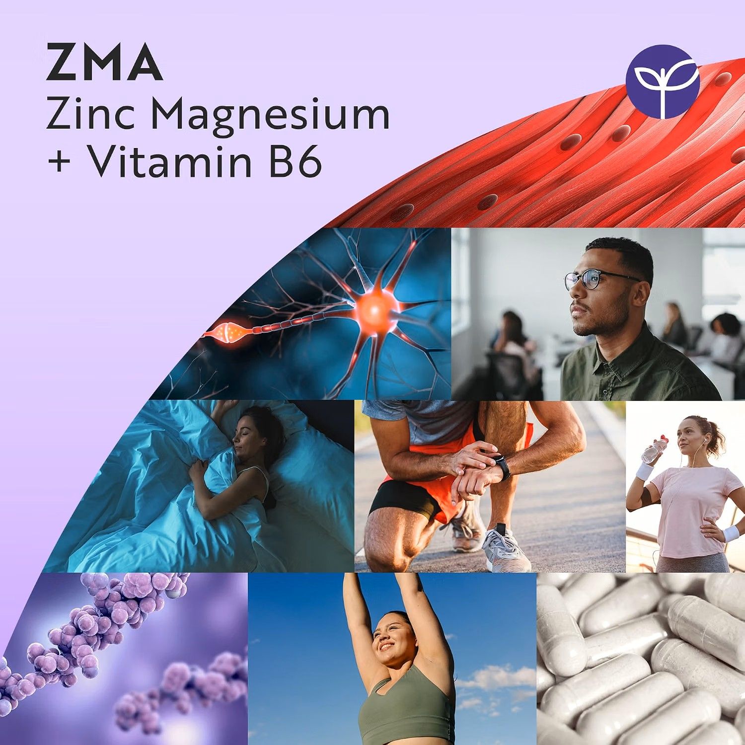 Nutravita ZMA mit Zink, Magnesium und B6