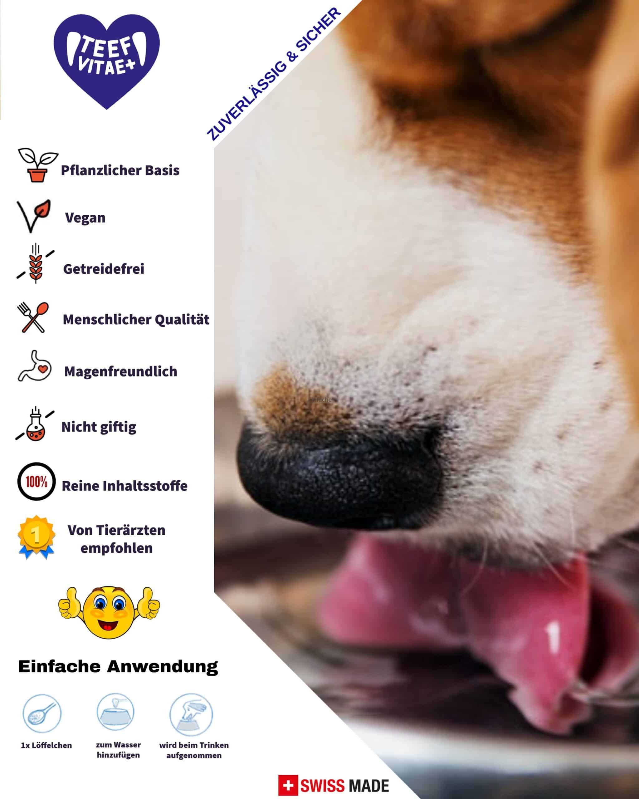 Tierhygiene24