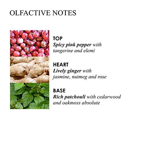 Olfaktorische Noten. Oben: Rosa Pfeffer, Mandarine, Elemi. Herz: Ingwer, Jasmin, Muskatnuss, Rose. Basis: Patschuli, Zedernholz, Eichenmoos.