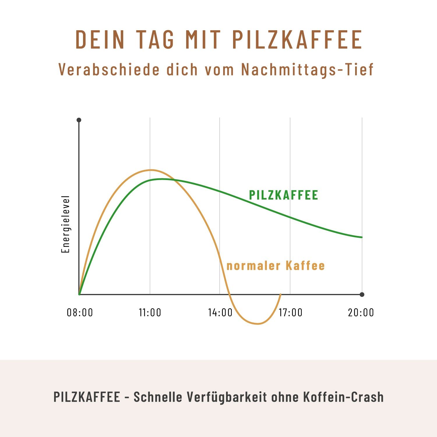 Diagramm zum Energielevel. Grüne Linie: Pilzkaffee, orange Linie: normaler Kaffee. Text: Pilzkaffee - Schnelle Verfügbarkeit ohne Koffein-Crash.