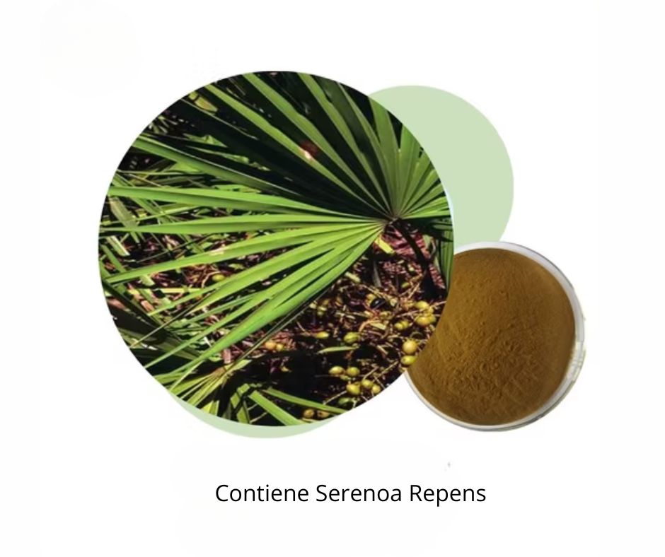 Kreisförmige Abbildung von Blättern und Beeren. Daneben eine Schale mit Pulver. Text: Contiene Serenoa Repens.