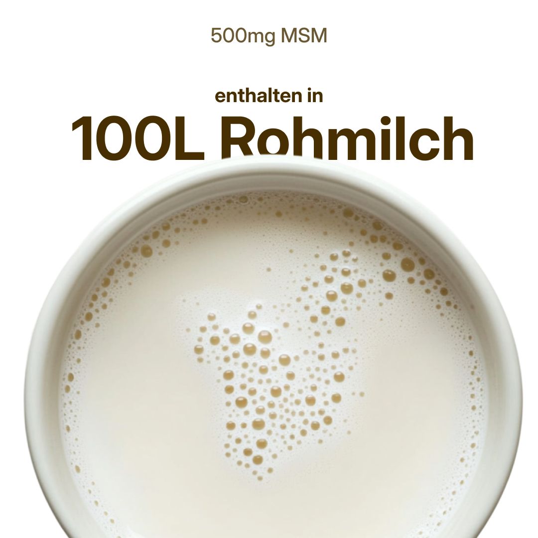 dunatura MSM 500mg - 84 Kapseln - Gelenke